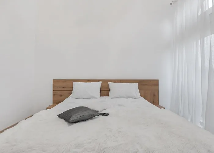 公寓 Urban Elegance Unirii & Parliament *